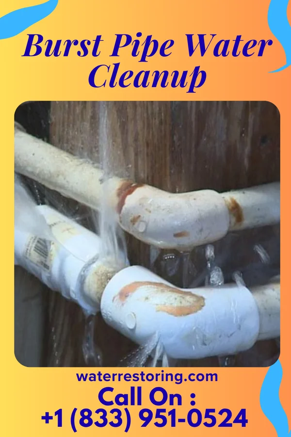 Burst Pipe Water Cleanup in Forest, LA