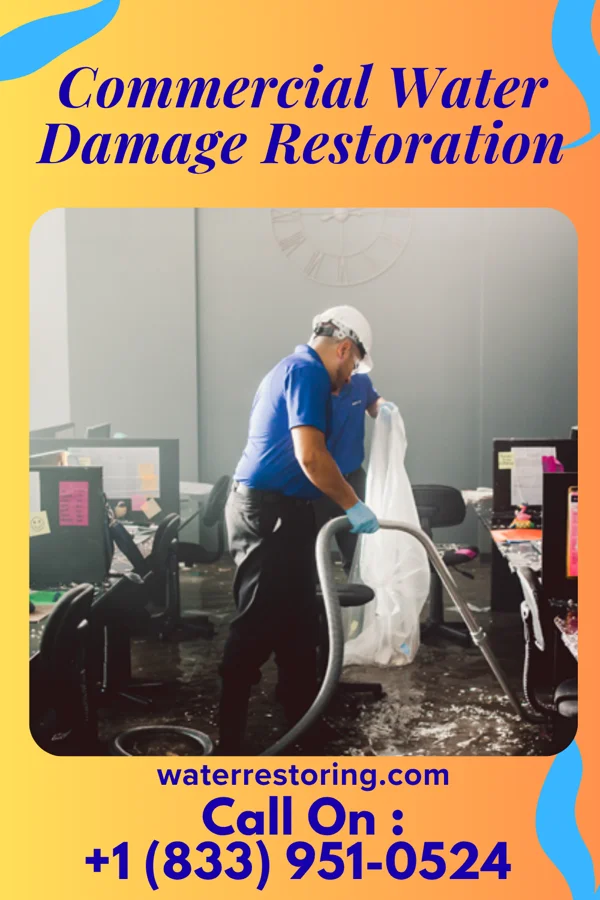 Commercial Water Damage Restoration in Forest, LA