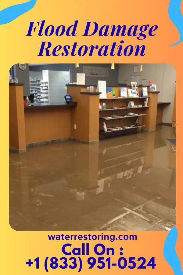 Flood Damage Restoration in Forest, LA