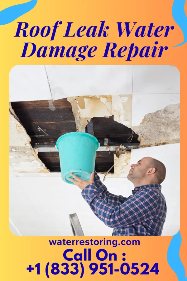 Roof Leak Water Damage Repair in Forest, LA